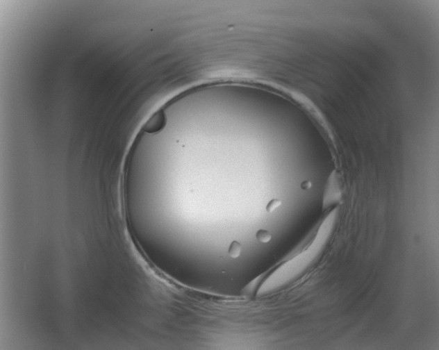 X0000063521295200602032100