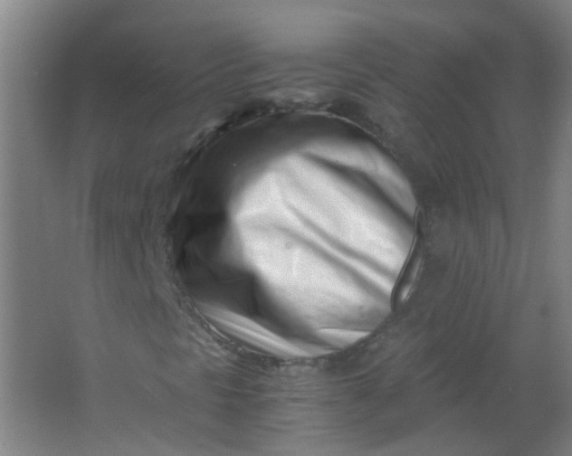 X0000063521297200602032059