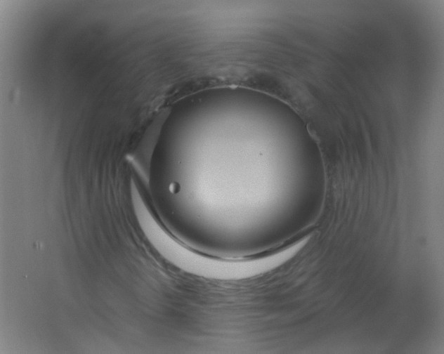 X0000063521298200602032059