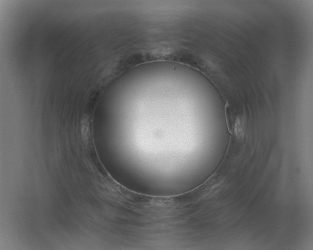 X0000063521299200602032059