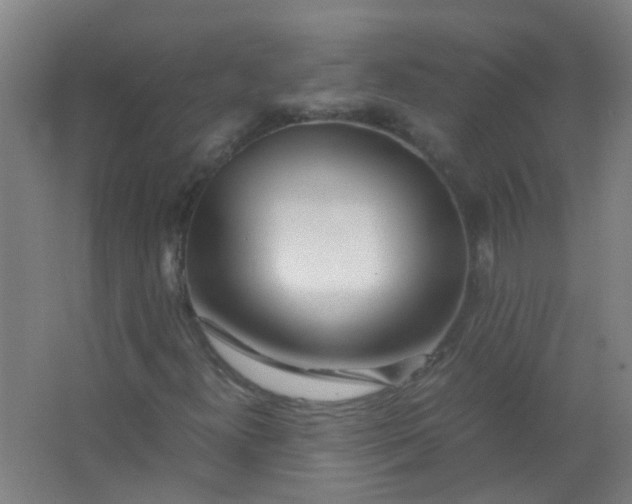 X0000063521300200602032059