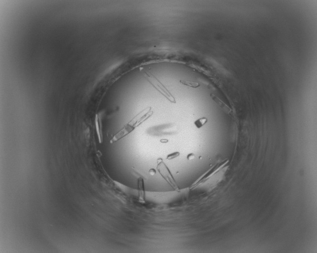 X0000063521302200602032059