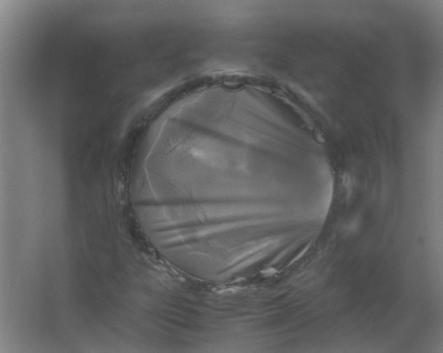 X0000063521303200602032059