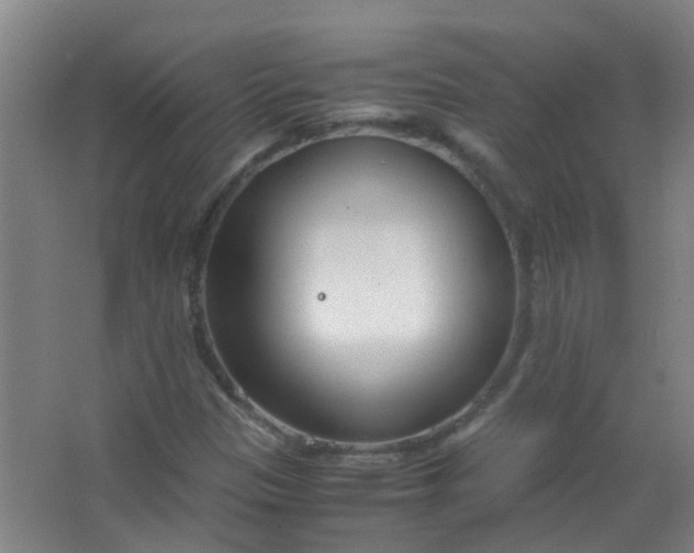 X0000063521305200602032059