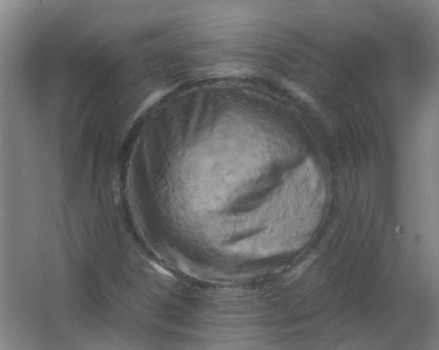 X0000063521306200602032059