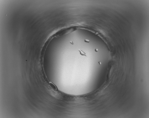 X0000063521308200602032059