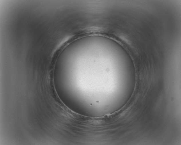 X0000063521309200602032059