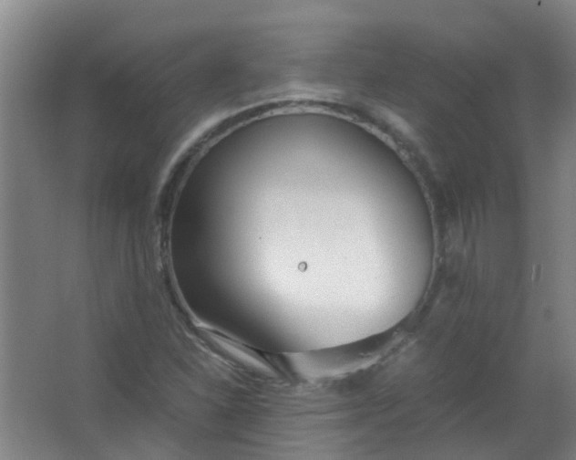 X0000063521310200602032059