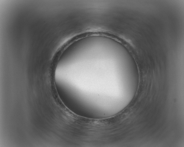 X0000063521311200602032059