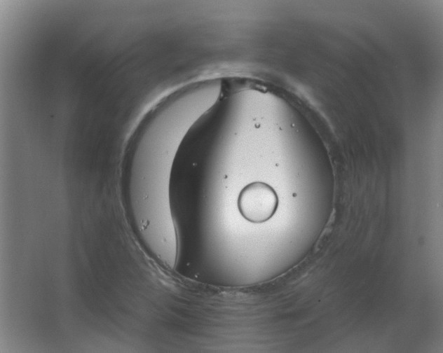 X0000063521312200602032059