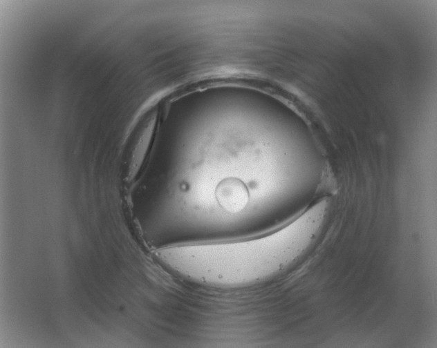 X0000063521314200602032059