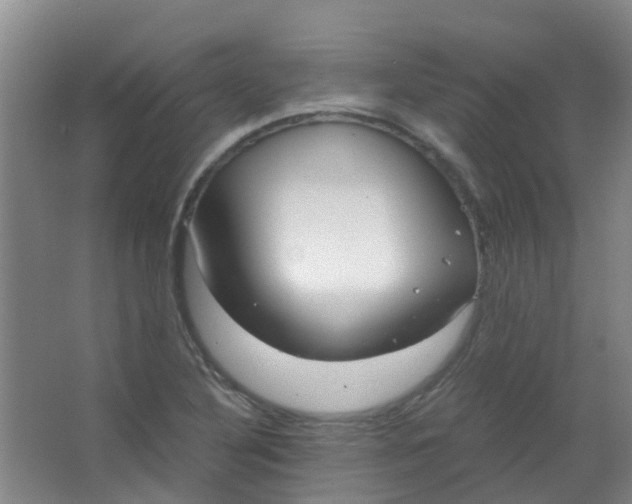 X0000063521316200602032100