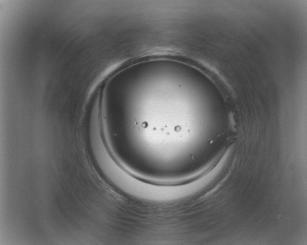 X0000063521317200602032100