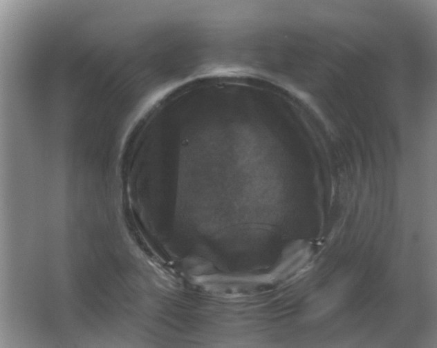 X0000063521319200602032100