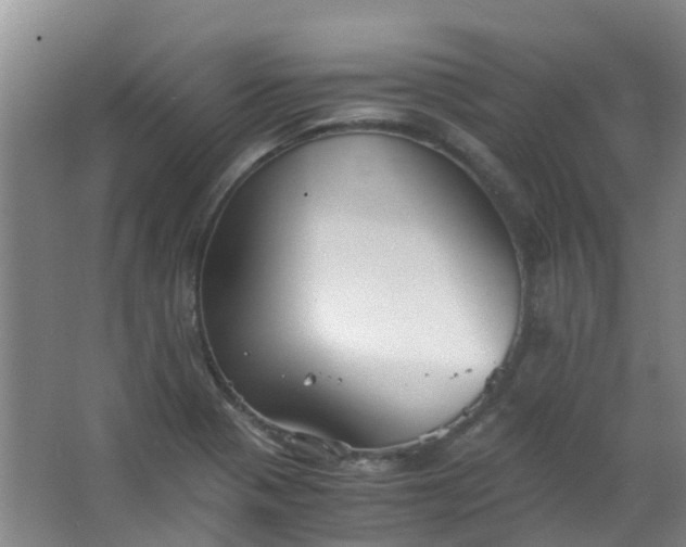 X0000063521321200602032100