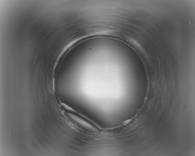 X0000063521324200602032100