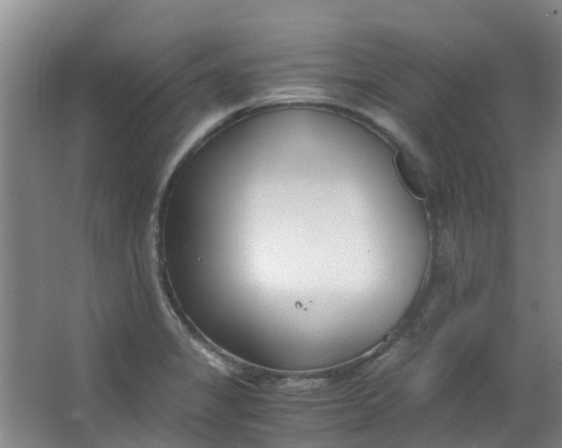 X0000063521325200602032100