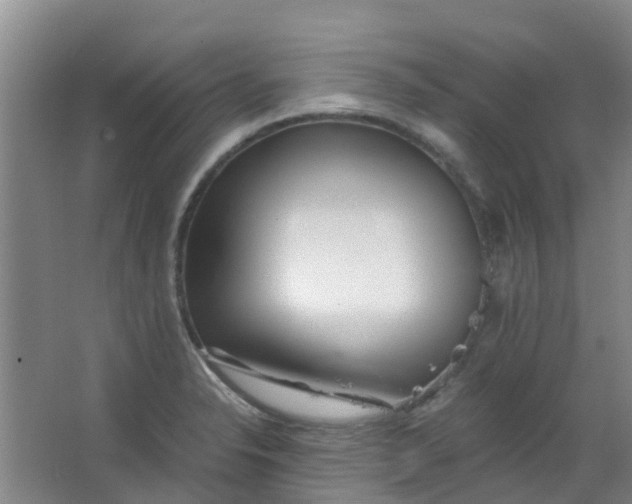 X0000063521326200602032100