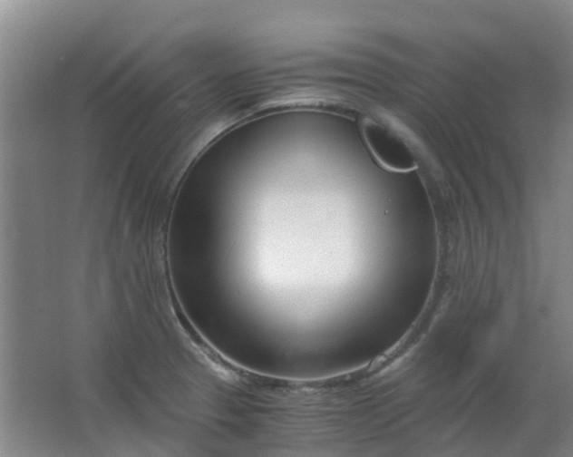 X0000063521329200602032100