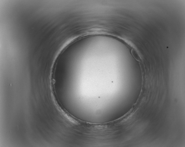 X0000063521333200602032100