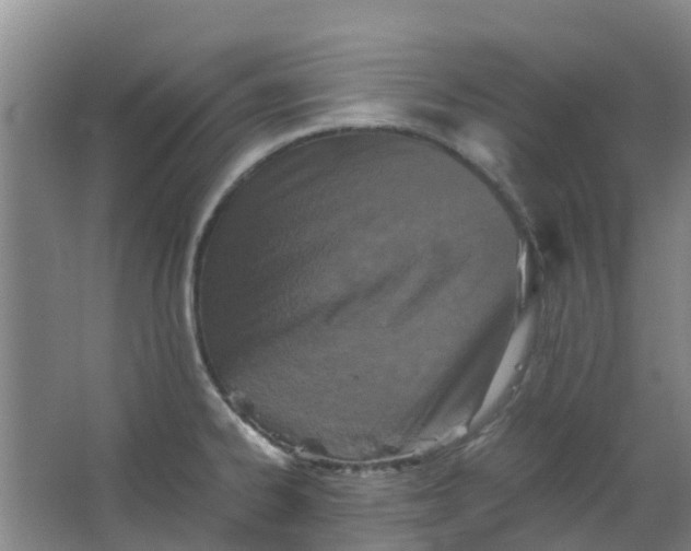 X0000063521334200602032100