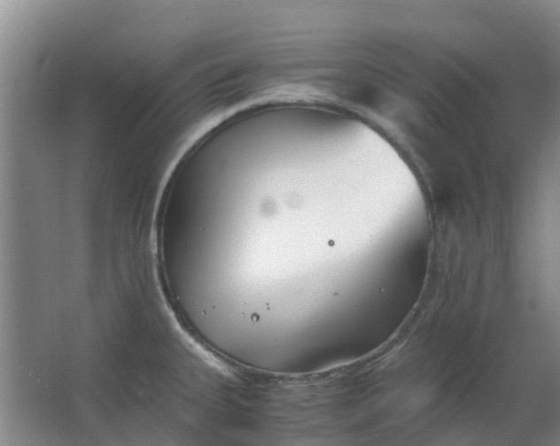 X0000063521335200602032100