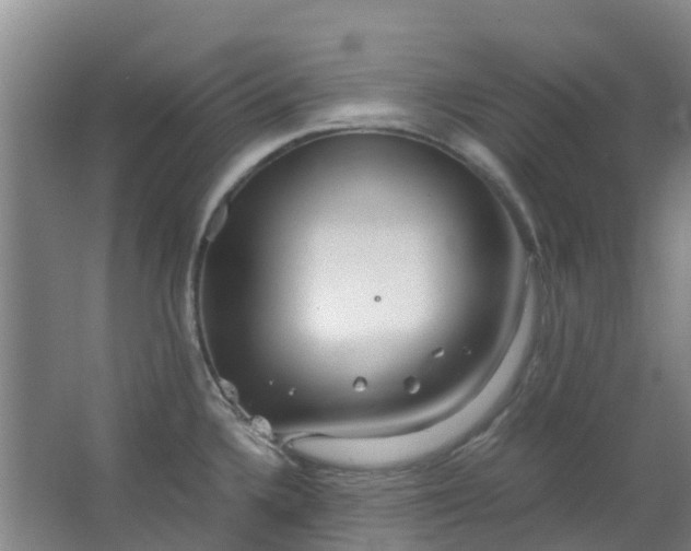 X0000063521336200602032100