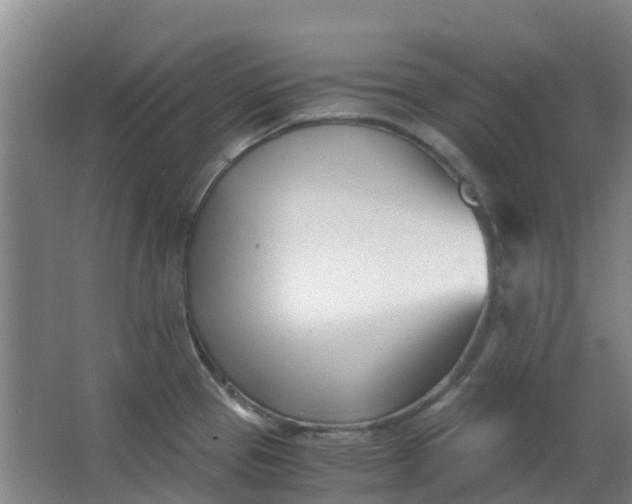 X0000063521337200602032100