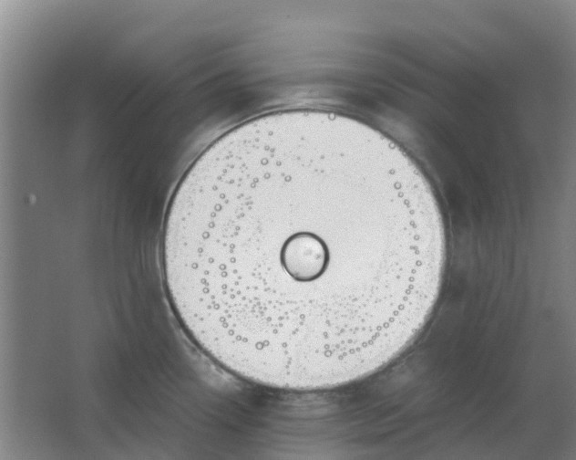 X0000063521338200602032100