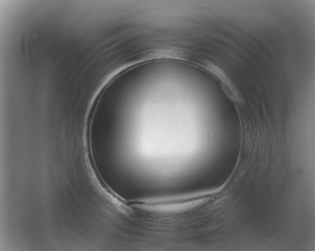 X0000063521339200602032100