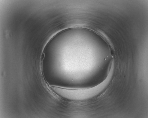 X0000063521340200602032100