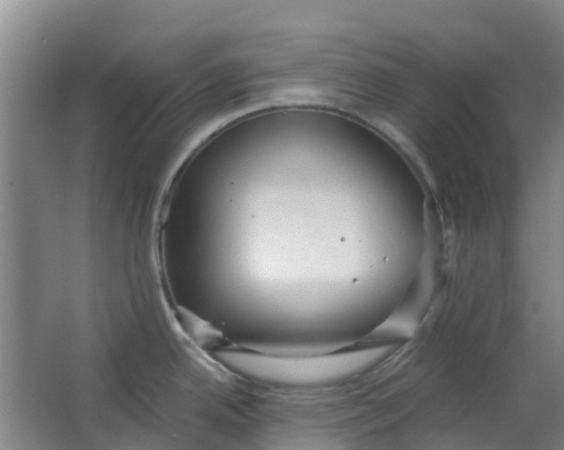 X0000063521342200602032100