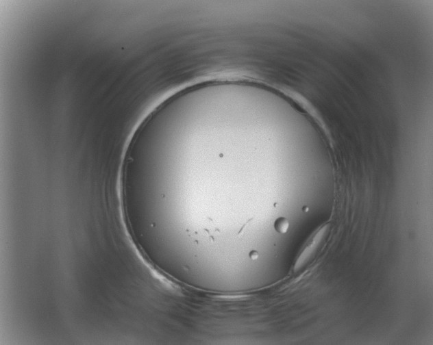 X0000063521343200602032100