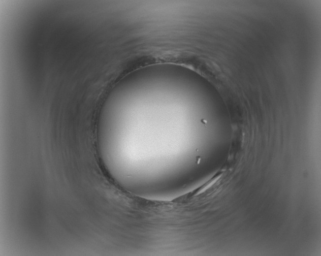 X0000063521345200602032059