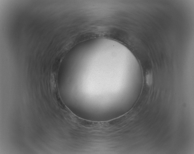 X0000063521347200602032059