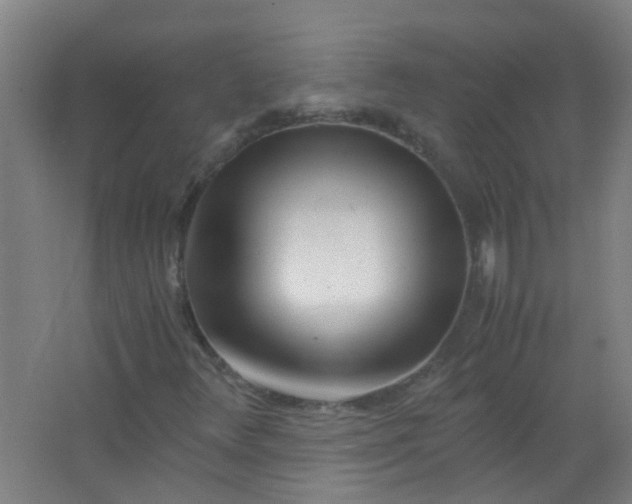 X0000063521348200602032059