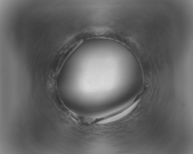 X0000063521349200602032059