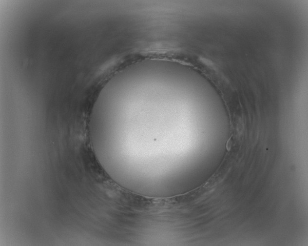 X0000063521350200602032059