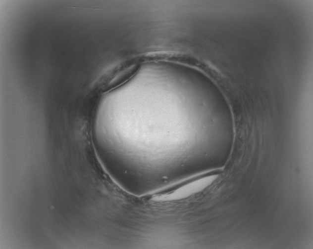 X0000063521351200602032059