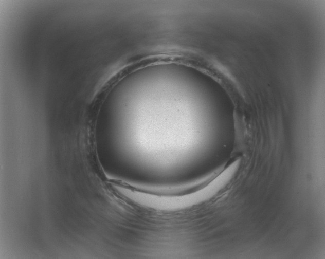 X0000063521352200602032059