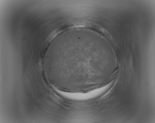 X0000063521353200602032059