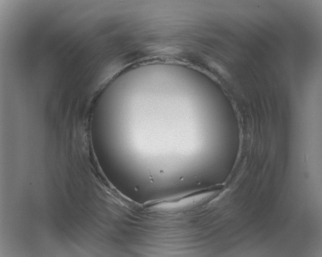 X0000063521354200602032059