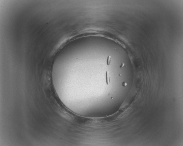 X0000063521355200602032059