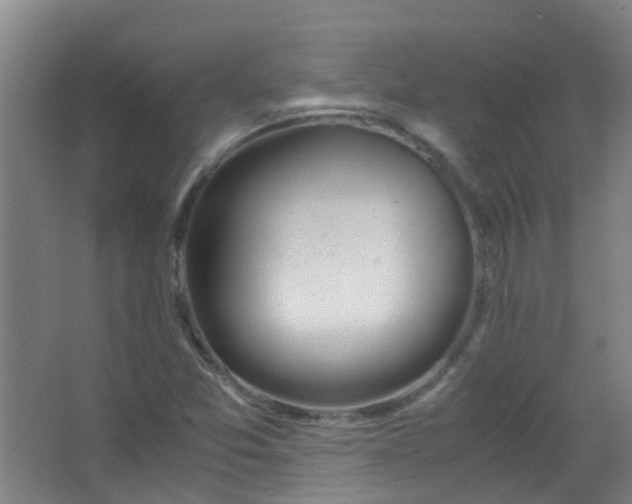 X0000063521357200602032059