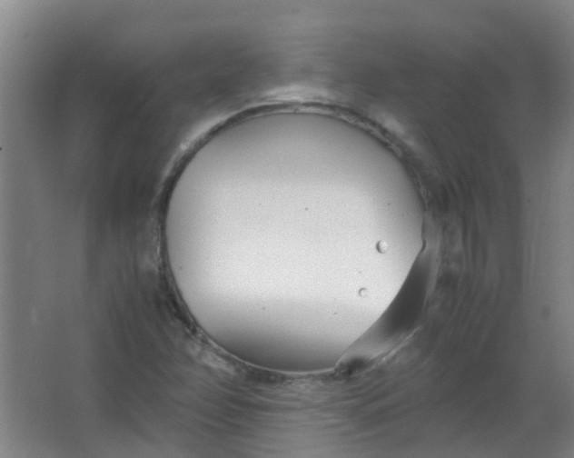 X0000063521358200602032059