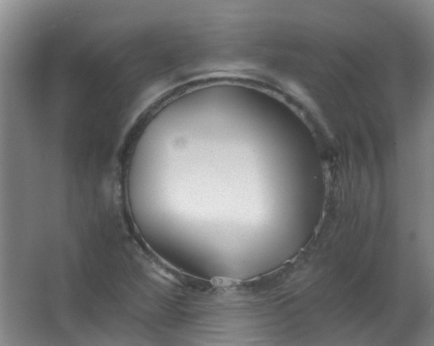 X0000063521360200602032059