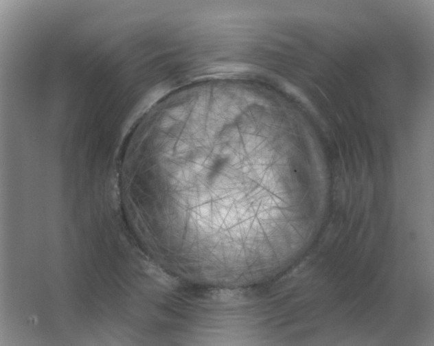 X0000063521362200602032059