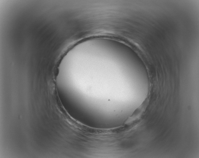 X0000063521363200602032059