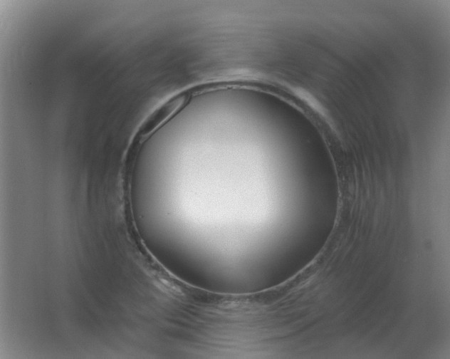 X0000063521364200602032059