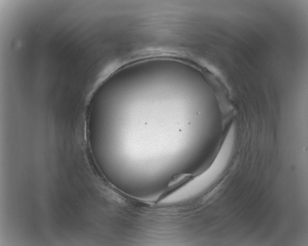 X0000063521365200602032059